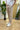 PantaJeans Different Beige