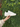 Sneakers FR Pelle Bianco