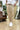 Pantalaccio Japan Beige