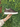 Sneakers Pelle Marrone