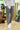 Pantalone Milano Capri Grigio