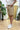 Bermuda Bull Beige
