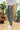 Pantalone Milano Capri Grigio