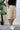 Bermuda Super Baggy Beige