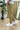 Pantalaccio Caracas Cammello