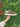 Sneakers Scamosciata Marrone