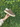 Sneakers Scamosciata Marrone