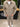 Camicione Taylor Beige